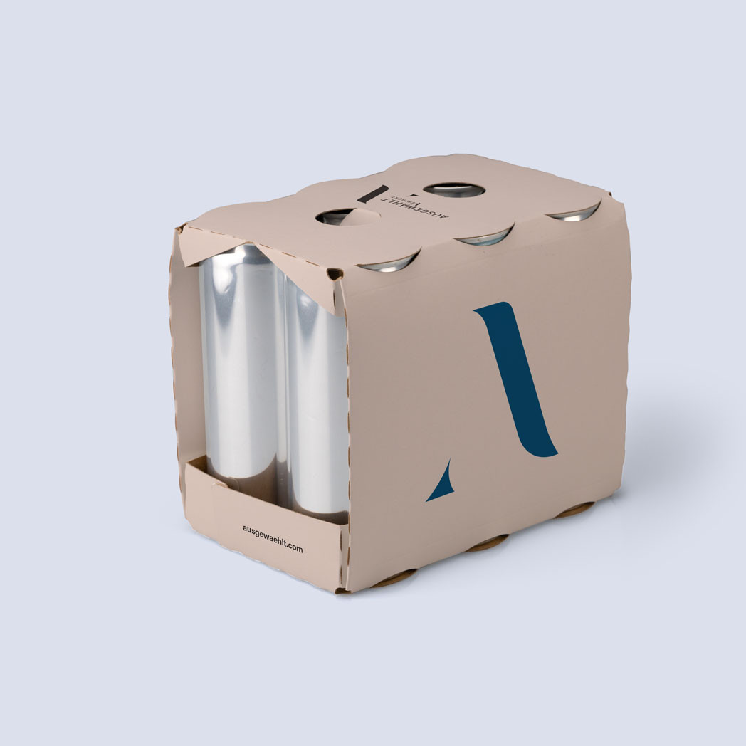 Sixpack Verpackung